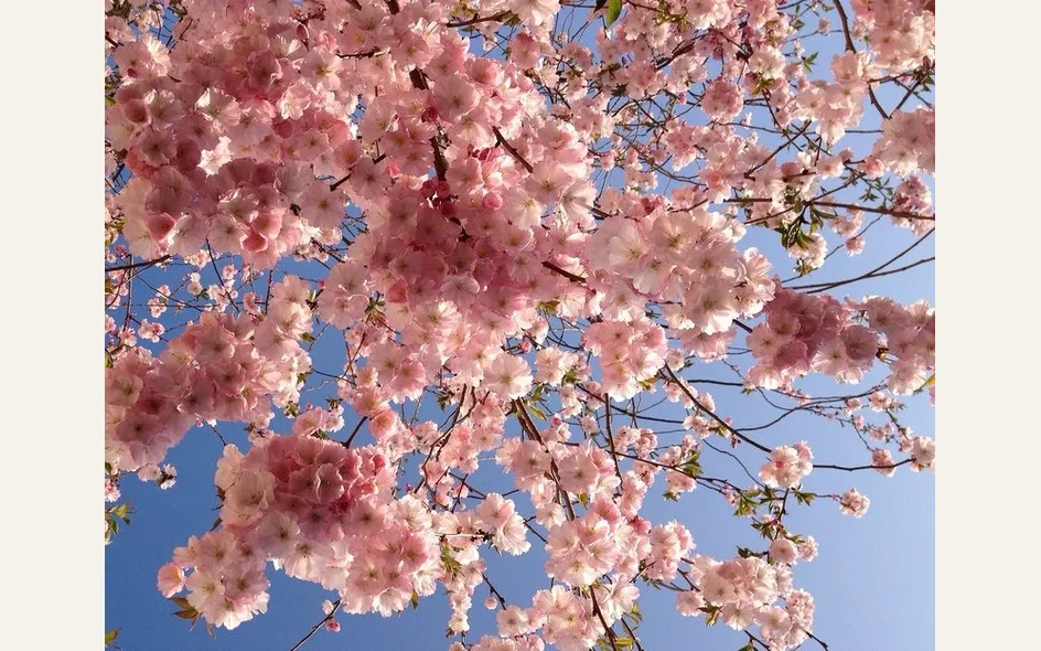 Inizio primavera e cambio ora