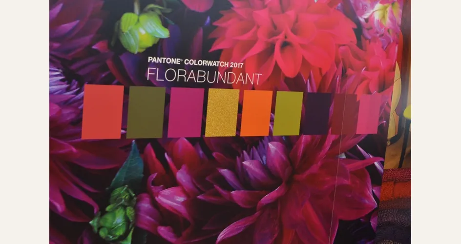 imbiancare casa colori pareti