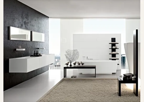 Bagno bianco e nero