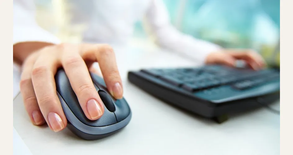 Dichiarazione dei redditi online