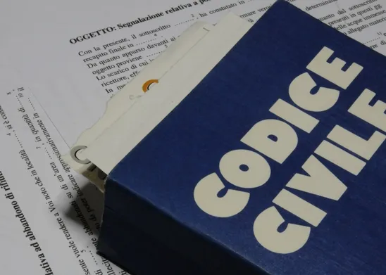 Articolo 43 del Codice Civile