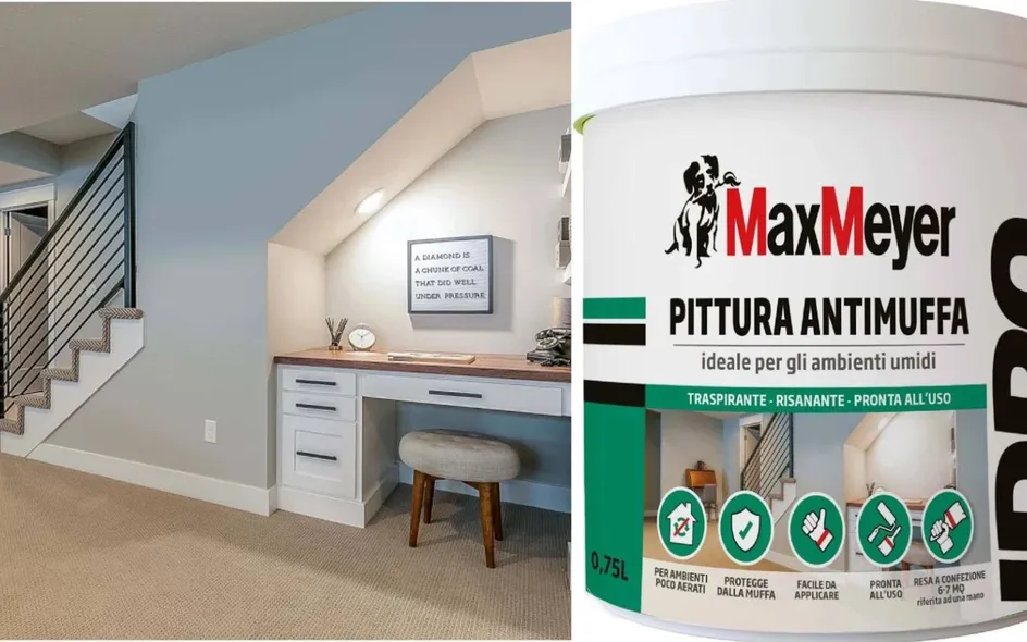 Pittura Antimuffa di MaxMeyer traspirante