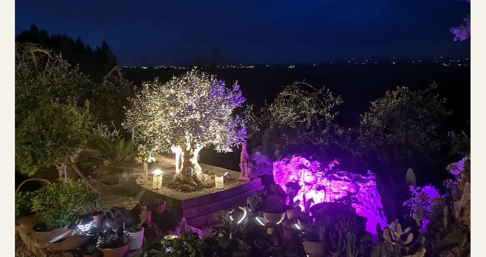 illuminazione notturna in giardino