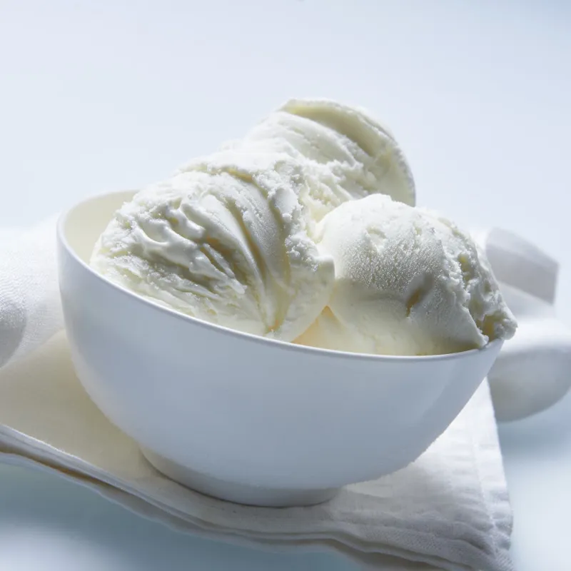 Ricette gelato con gelatiera