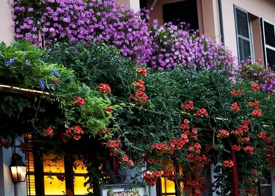 Un balcone fiorito alla francese
