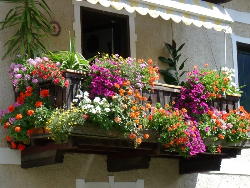 Un balcone fiorito e colorato