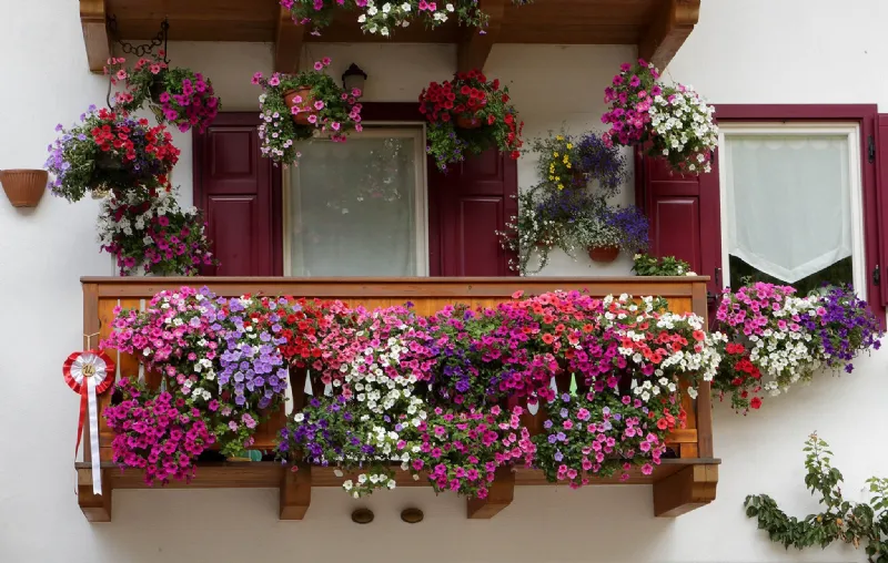 Un balcone fiorito e ben curato