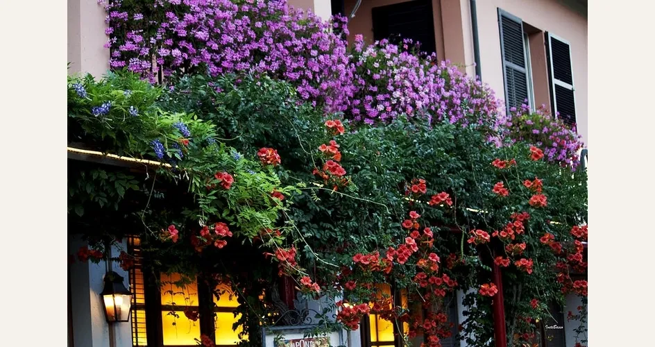 Un balcone fiorito alla francese