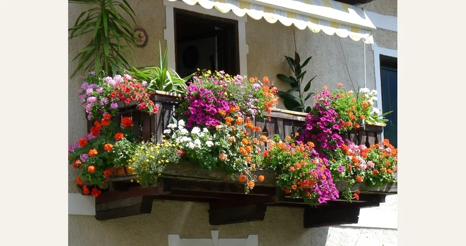 Un balcone fiorito e colorato