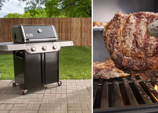 Genesis E-315 di Weber