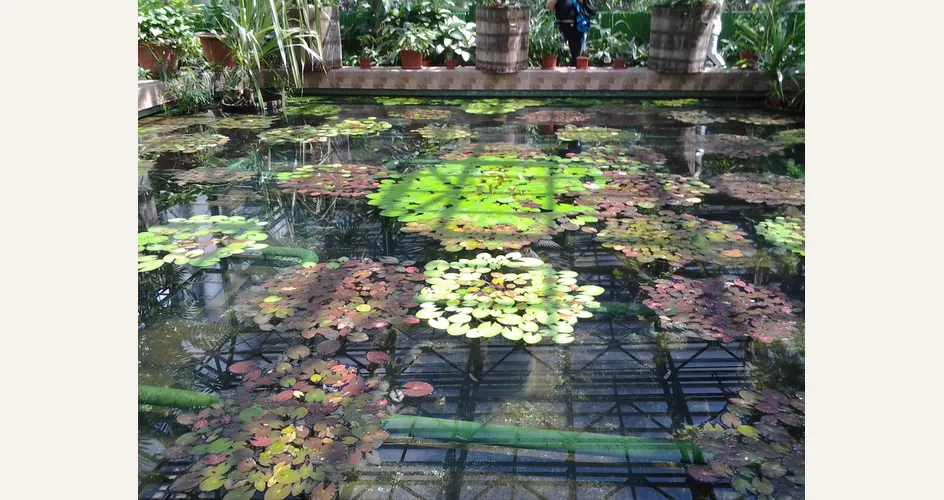 Laghetti artificiali per giardino