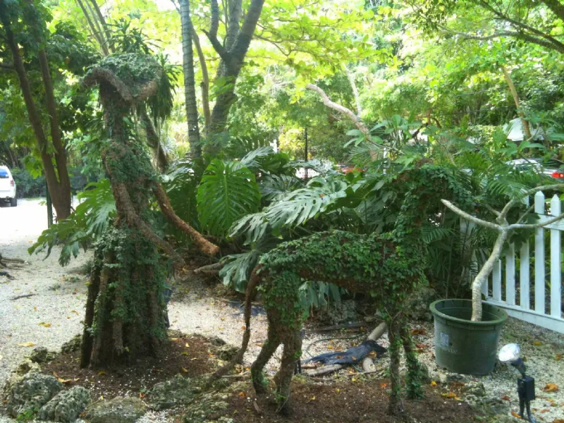 Scelta e messa in dimora alberi e piante