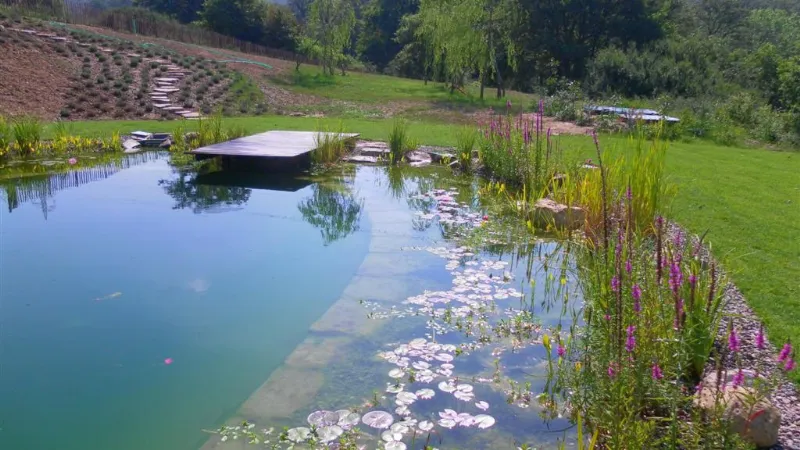 Piscina Naturale