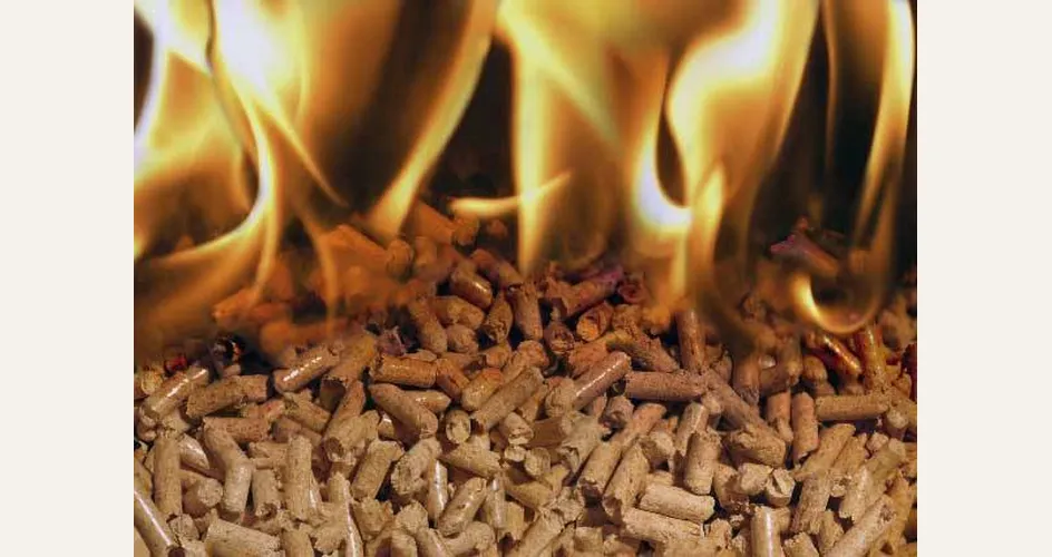 pellet