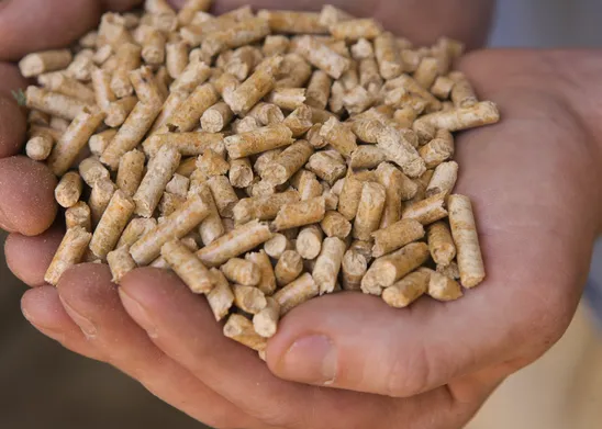 I pellets