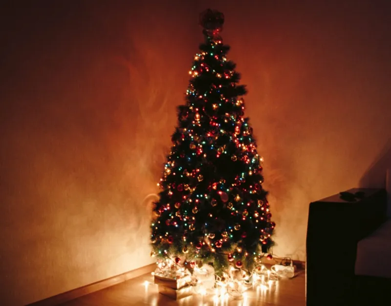 Come addobbare l'albero di Natale