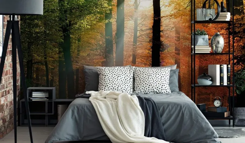 Autunno dorato - catalogo Wall Art